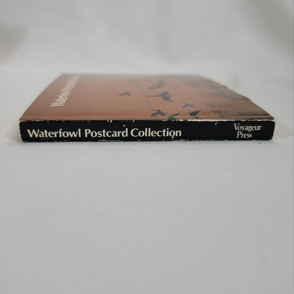 Vtg Waterfowl Postcard Collection Book By Kit Howard Breen - Picture 6 of 10